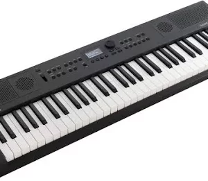 Roland GO:KEYS 5 Music Creation Keyboard - Image 4